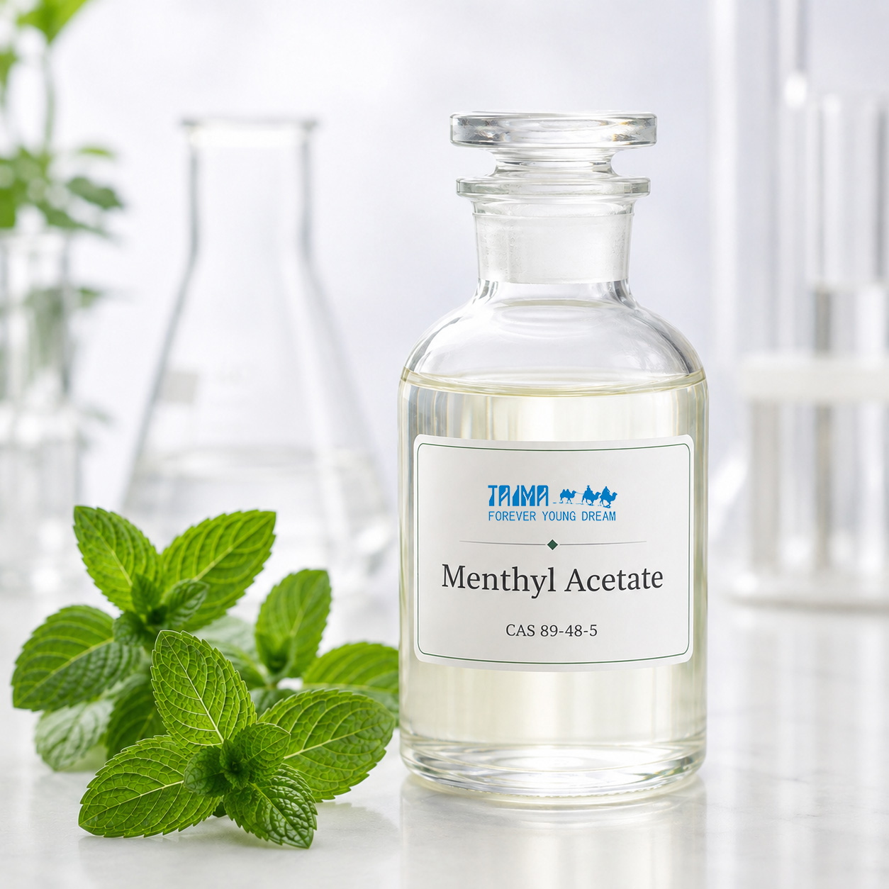 Menthyl Acetate CAS 89-48-5 Minty Aroma Ingredient – TAIMA